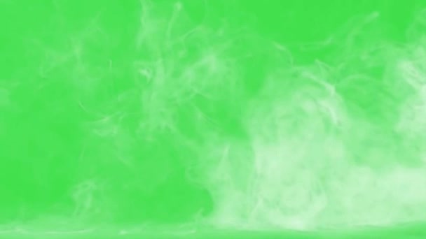 Efecto Humo Blanco Pantalla Verde — Vídeo de stock