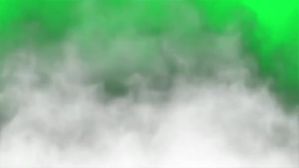 Fehér Füsthatás Zöld Képernyőn — Stock videók