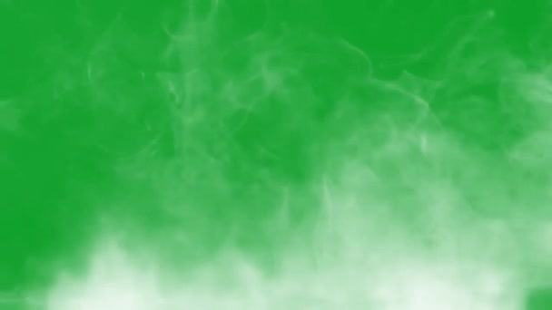White Smoke Effect Het Groene Scherm — Stockvideo