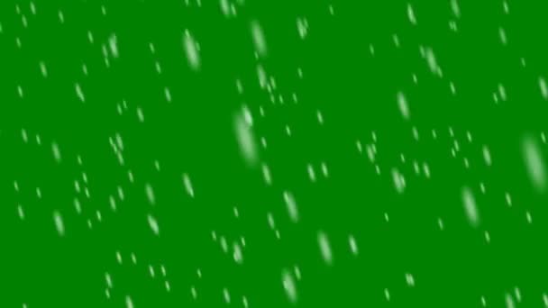 Copos Nieve Cayendo Pantalla Verde — Vídeos de Stock