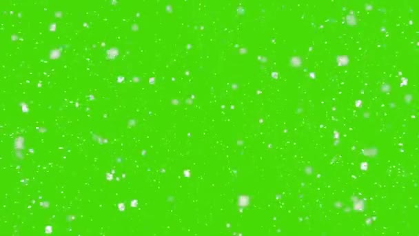 Flocons Neige Tombant Sur Écran Vert — Video