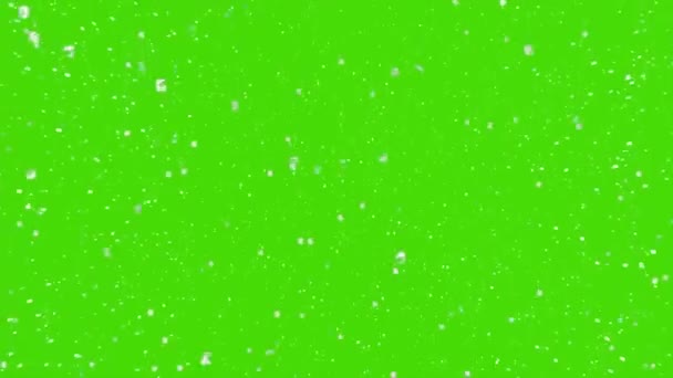 Snöflingor Faller Grön Skärm — Stockvideo