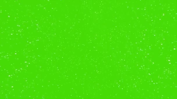 Schneeflocken Fallen Auf Green Screen — Stockvideo