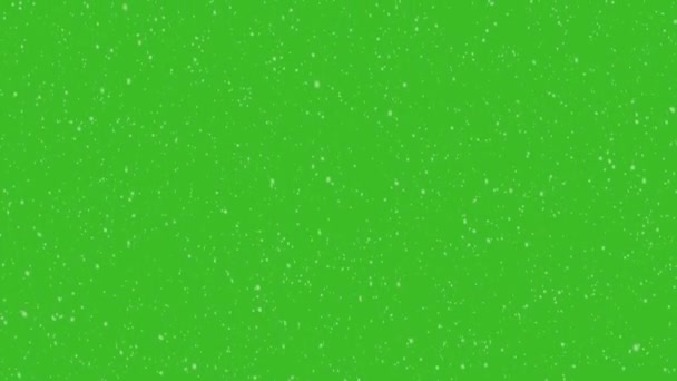 Copos Nieve Cayendo Pantalla Verde — Vídeos de Stock