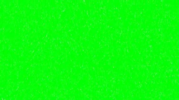 Yeşil Ekrana Düşen Kar Taneleri — Stok video