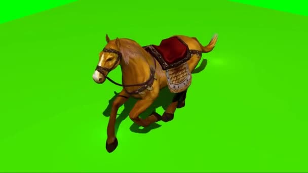 Kůň Běží Zelené Obrazovce — Stock video
