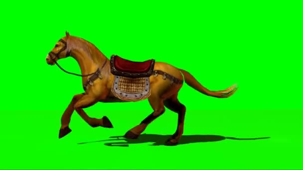 Caballo Corriendo Pantalla Verde — Vídeos de Stock