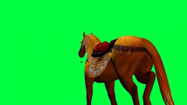 Paardenwandelen Groen Scherm — Stockvideo