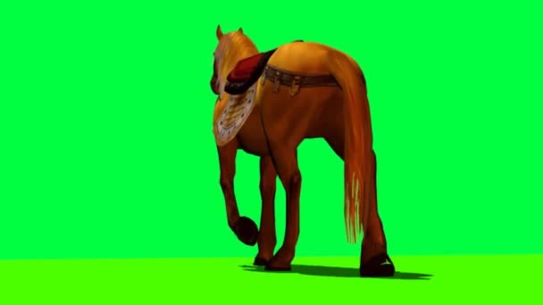 马在绿色屏风上行走 — 图库视频影像