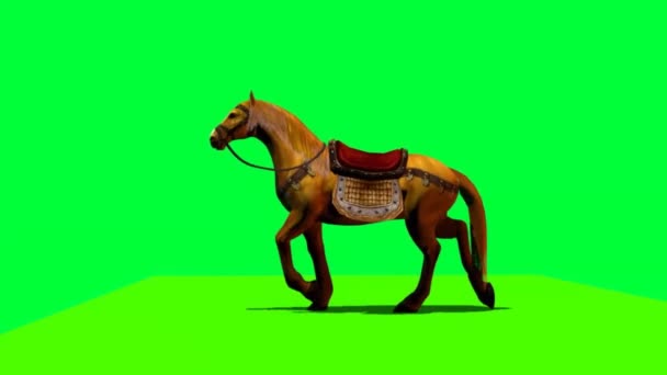 Caballo Caminando Pantalla Verde — Vídeos de Stock