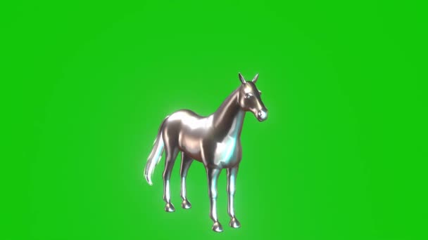 Silver Horse Looking Green Screen — Stock video