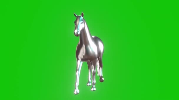 Silver Horse Walking Green Screen — Stock Video