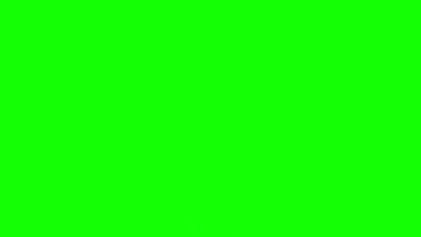 Ghost Flying Green Screen – Stock-video