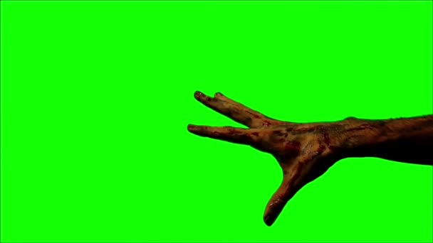 Zombie Hands Green Screen — Stock Video