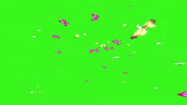 Yeşil Ekranda Uçan Kelebek Sürüsü