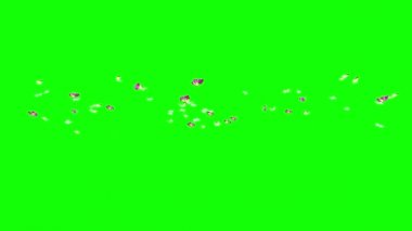 Yeşil Ekranda Uçan Kelebek Sürüsü