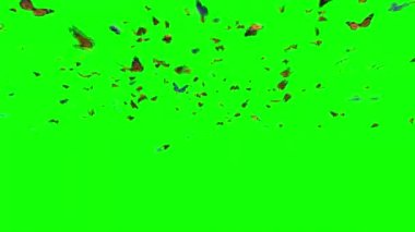 Yeşil Ekranda Uçan Kelebek Sürüsü