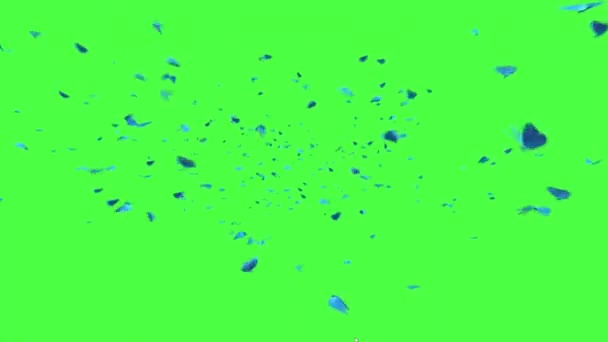 Sciame Farfalle Che Volano Sullo Schermo Verde — Video Stock
