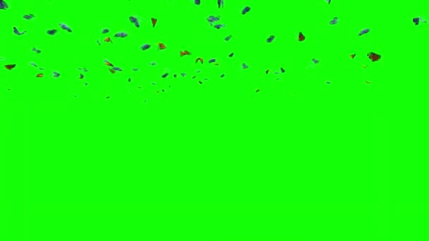 Svärm Fjärilar Flyger Grön Skärm — Stockvideo