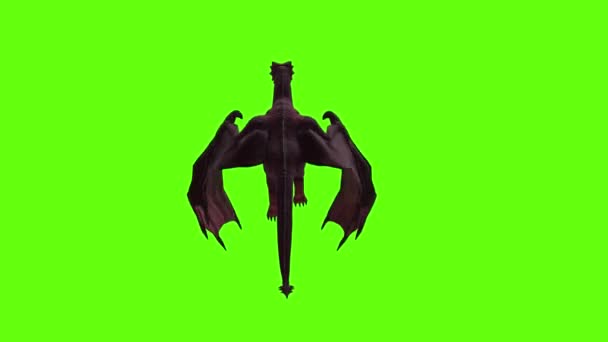 Dragon Flying Green Screen — Stock Video