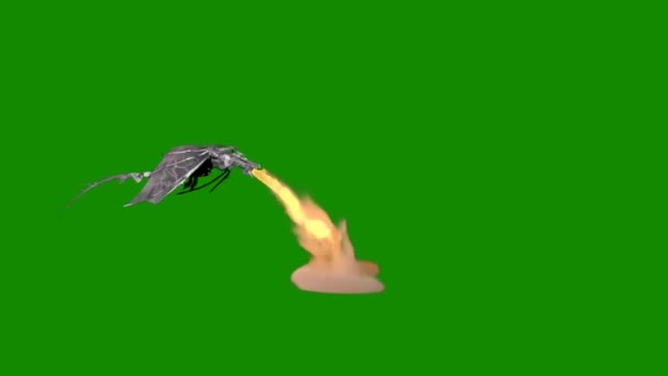 Dragão Respiração Fogo Voando Tela Verde — Vídeo de Stock