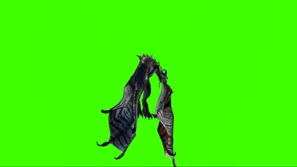 Dragonul Zburând Ecranul Verde — Videoclip de stoc