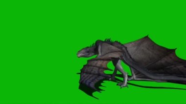 Yeşil Ekranda Uçan Ejder