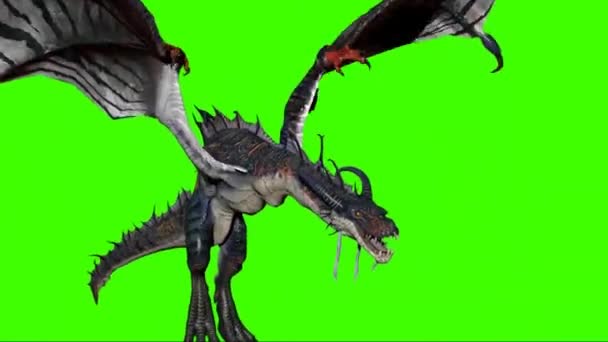 Dragon Flying Green Screen — стоковое видео