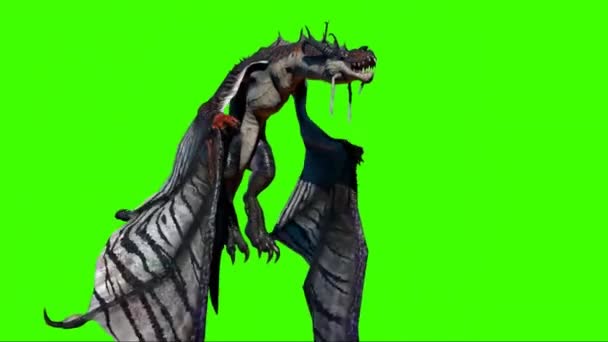 Dragon Latający Zielonym Ekranie — Wideo stockowe