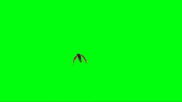 Dragon Flying Green Screen — Stock Video