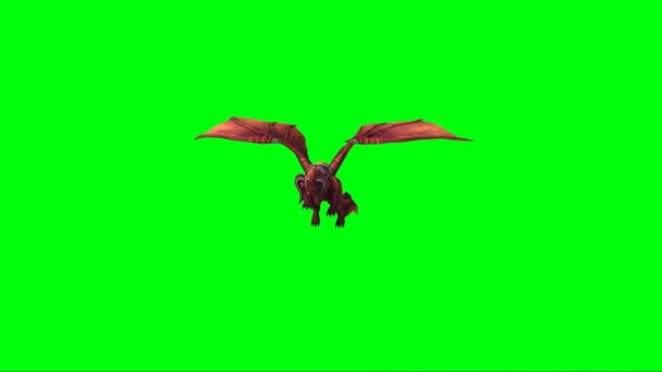 Dragão Voando Tela Verde — Vídeo de Stock