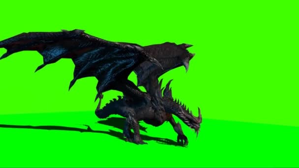 Dragon Walking Green Screen — Stock video