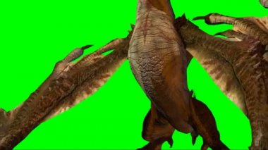 Yeşil Ekranda Ejderha Kükremesi