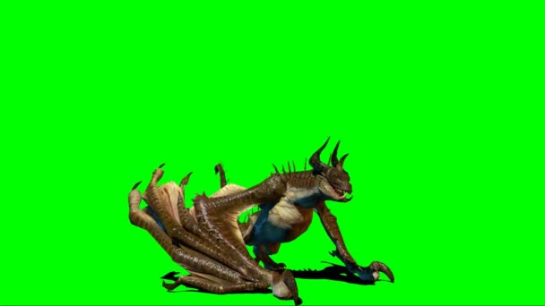 Dragon Flying Green Screen — Stock Video