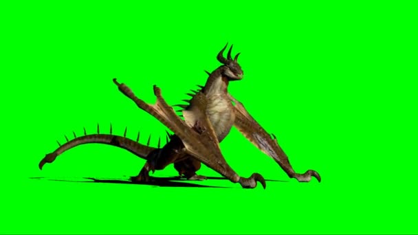 Dragon Roaring Green Screen — Stock Video