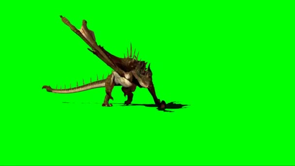 Dragon Walking Auf Grünem Bildschirm — Stockvideo