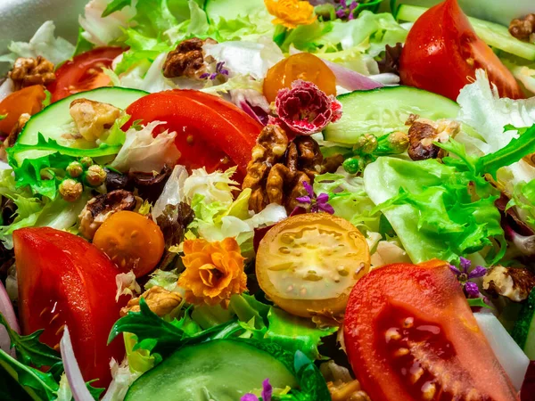 Salat Mit Verschiedenen Salatsorten Tomaten Zwiebeln Gurken Und Nüssen — Stockfoto