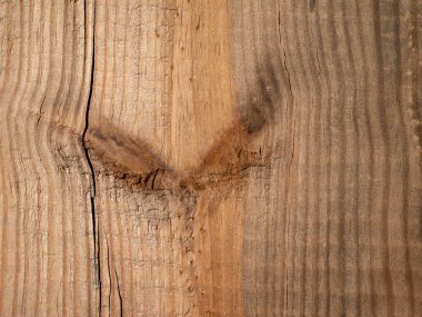 Doğal ahşap doku fotoğrafçılığı