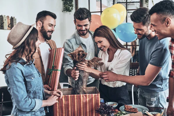 Feliz Jovem Mulher Segurando Cachorro Yorkshire Terrier Cão Sorrindo Festa — Fotografia de Stock