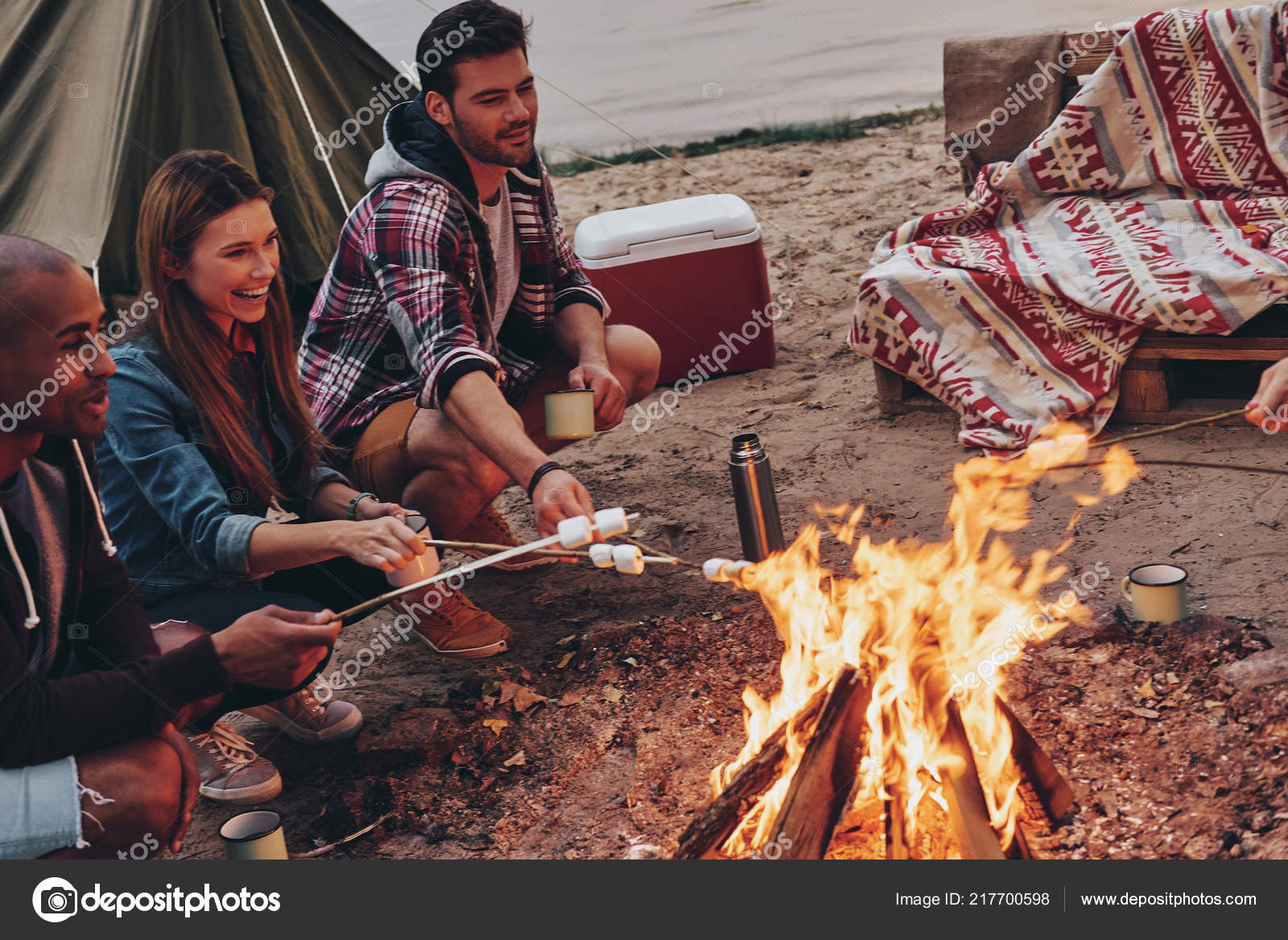 Лучшие Друзья Костра Зефиром Стоковое Фото ©gstockstudio 217700598