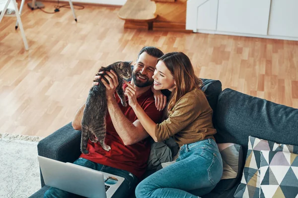 Ovanifrån Bekymmerslöst Ungt Par Casual Kläder Bindning Med Tamkatt Och — Stockfoto