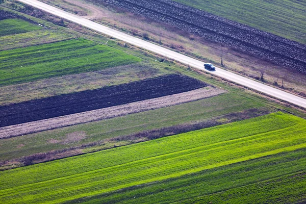 Yol Amiri Tarımsal Tarlaların Yakın Plan Fotoğrafı — Stok fotoğraf