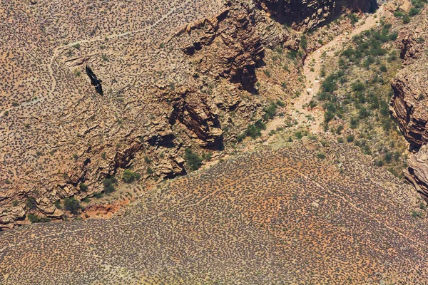 Vista Aérea Las Rutas Senderismo Parque Nacional Del Gran Cañón —  Fotos de Stock