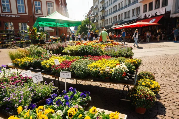 Frankfurt, Almanya - 22 Ağustos 2015: Meydanda satılık güzel renkli çiçeklerin çeşitliliği 