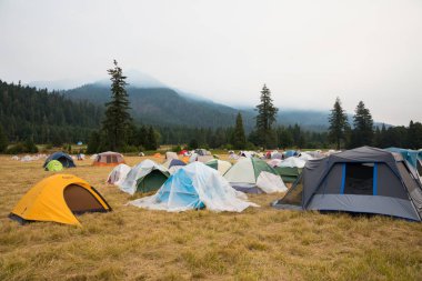 Willamette Ulusal Orman kampında Terwilliger yangın