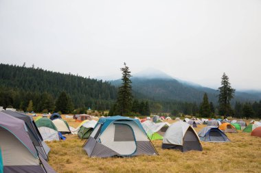 Willamette Ulusal Orman kampında Terwilliger yangın