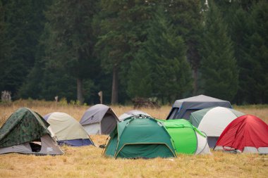 Willamette Ulusal Orman kampında Terwilliger yangın