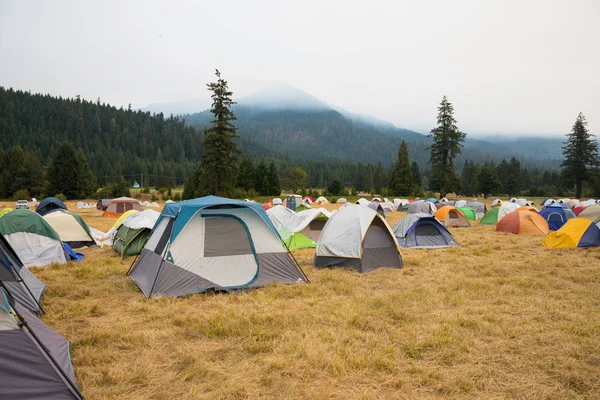 Terwilliger požáru tábora v Willamette National Forest — Stock fotografie