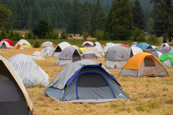 Terwilliger Fire Camp in Willamette National Forest — Stock Photo, Image