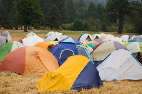 Willamette Ulusal Orman kampında Terwilliger yangın